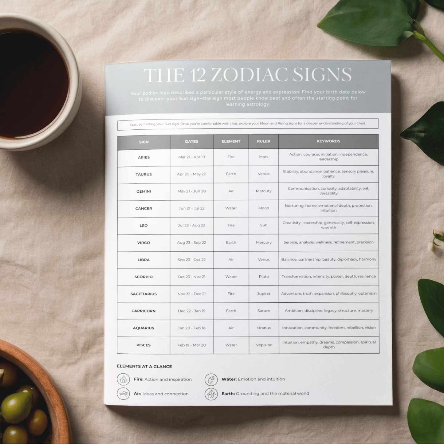 Sheet of paper with 'The 12 Zodiac Signs' chart on a table with a cup of coffee and greenery.