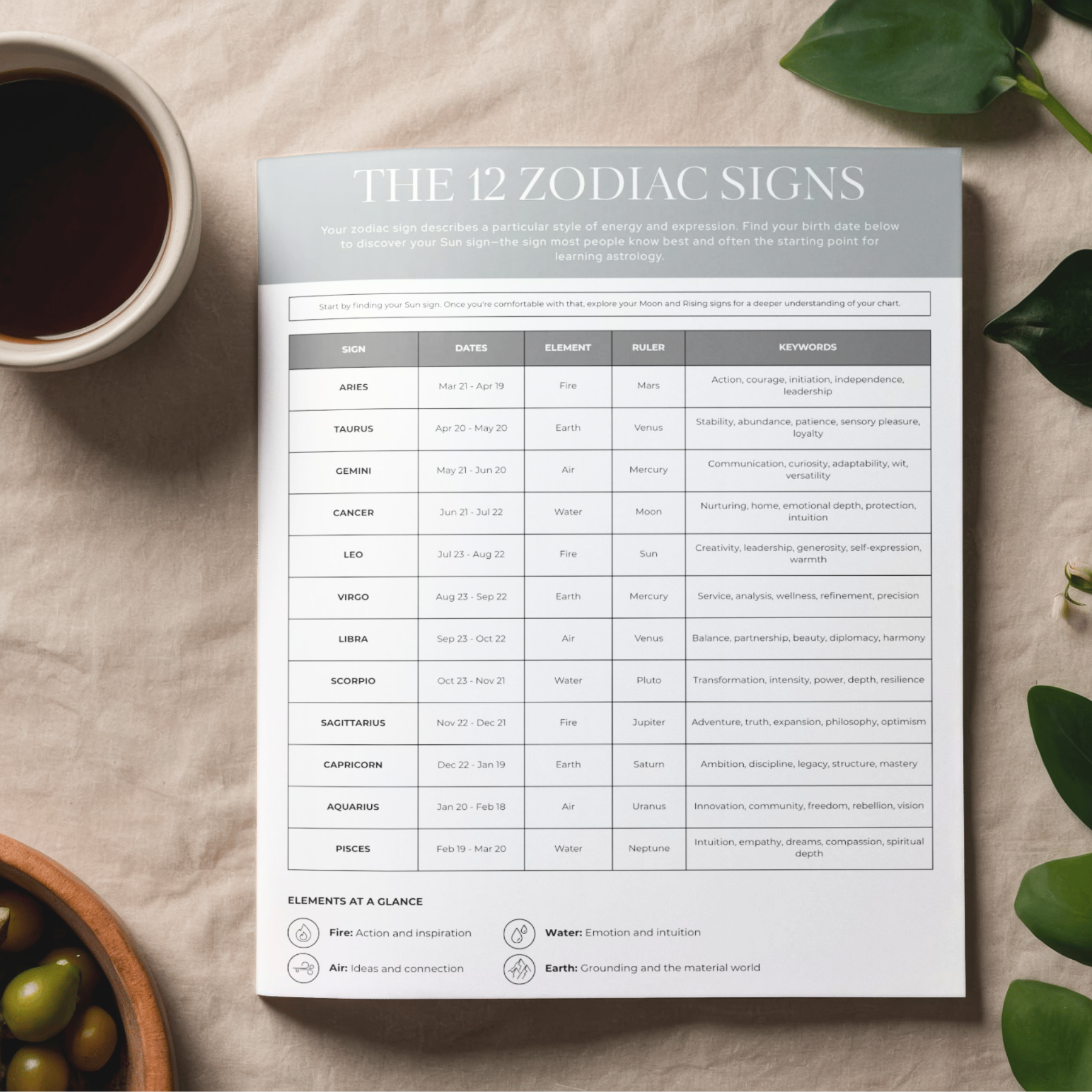 Sheet of paper with 'The 12 Zodiac Signs' chart on a table with a cup of coffee and greenery.