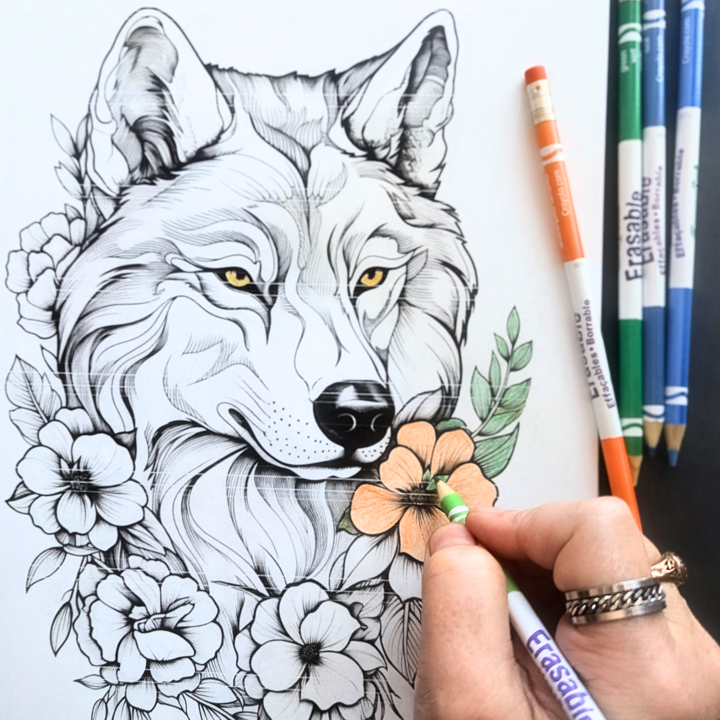 Wolf Coloring Pages for Calm and Connection